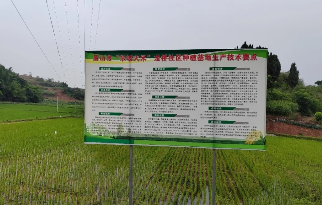 定制化肥料解決方案，助力東坡大米產(chǎn)業(yè)健康發(fā)展
